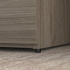 Office 500 2 Drawer Lateral File Cabinet by Bush Business Furniture