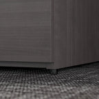 Office 500 2 Drawer Lateral File Cabinet by Bush Business Furniture