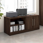 Bush Business Furniture Vista Low Storage Cabinet with Doors, Shelves