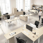 Bush Business Furniture Vista Low Storage Cabinet with Doors, Shelves