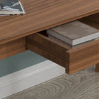 Kerrogee 47.2  Wood Computer Desk with 2 Drawers - 4 Colors