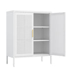 Metal Storage Cabinet with 2 Doors and 2 Adjustable Shelves, Steel Lockable Garage Storage Cabinet