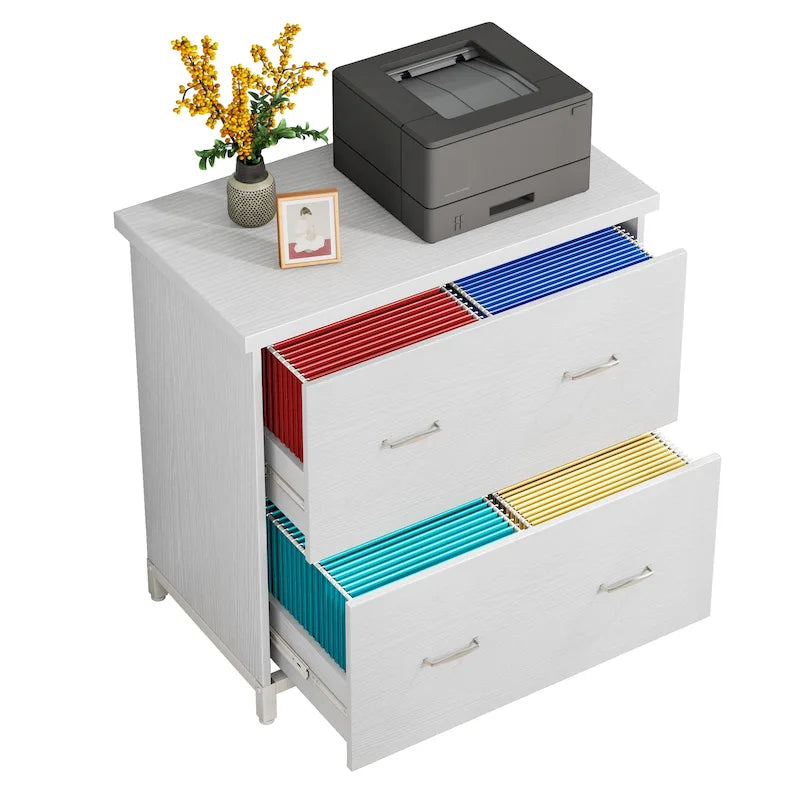 Lateral File Cabinet with 2 Drawers for Home Office, Letter Size