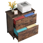 Lateral File Cabinet with 2 Drawers for Home Office, Letter Size
