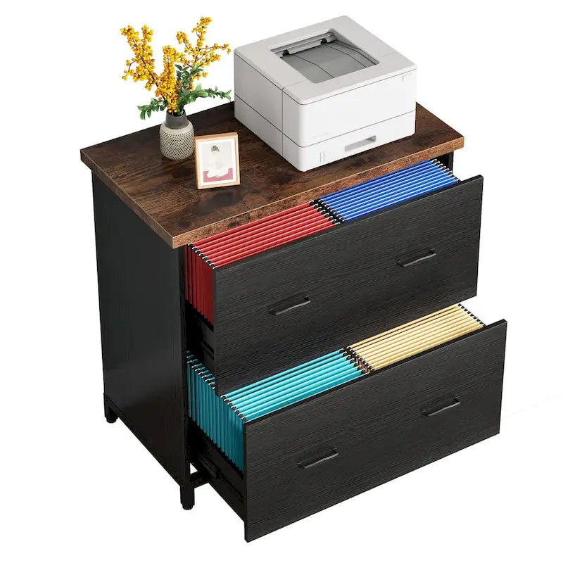 Lateral File Cabinet with 2 Drawers for Home Office, Letter Size