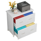 Lateral File Cabinet with 2 Drawers for Home Office, Letter Size