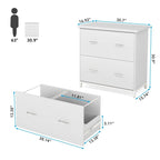 Lateral File Cabinet with 2 Drawers for Home Office, Letter Size