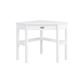 Poppy Corner Classic Writing Desk with Storage