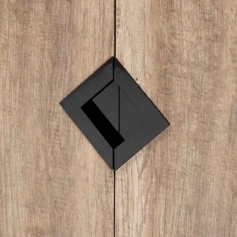 Wales Modern and Contemporary Rustic 2-Door Shoe Storage Cabinet