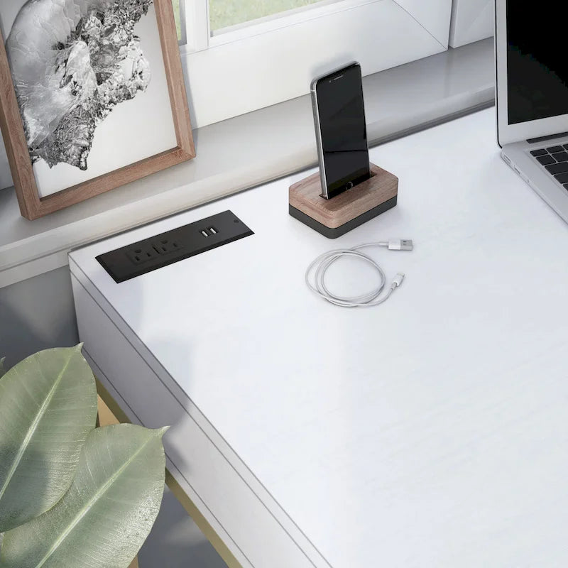 Bird Modern 42-inch Metal Computer Desk with USBs by Furniture of America