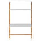 Lyvia 46  Wide Leaning/Ladder Desk by iNSPIRE Q Modern