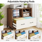 File Cabinet with Drawer, Adjustable Rod for Letter/Letter/A4 Size