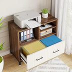 File Cabinet with Drawer, Adjustable Rod for Letter/Letter/A4 Size