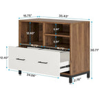 File Cabinet with Drawer, Adjustable Rod for Letter/Letter/A4 Size