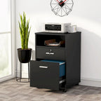 2 Drawer Mobile File Cabinet with Lock Printer Stand with Rolling Wheels
