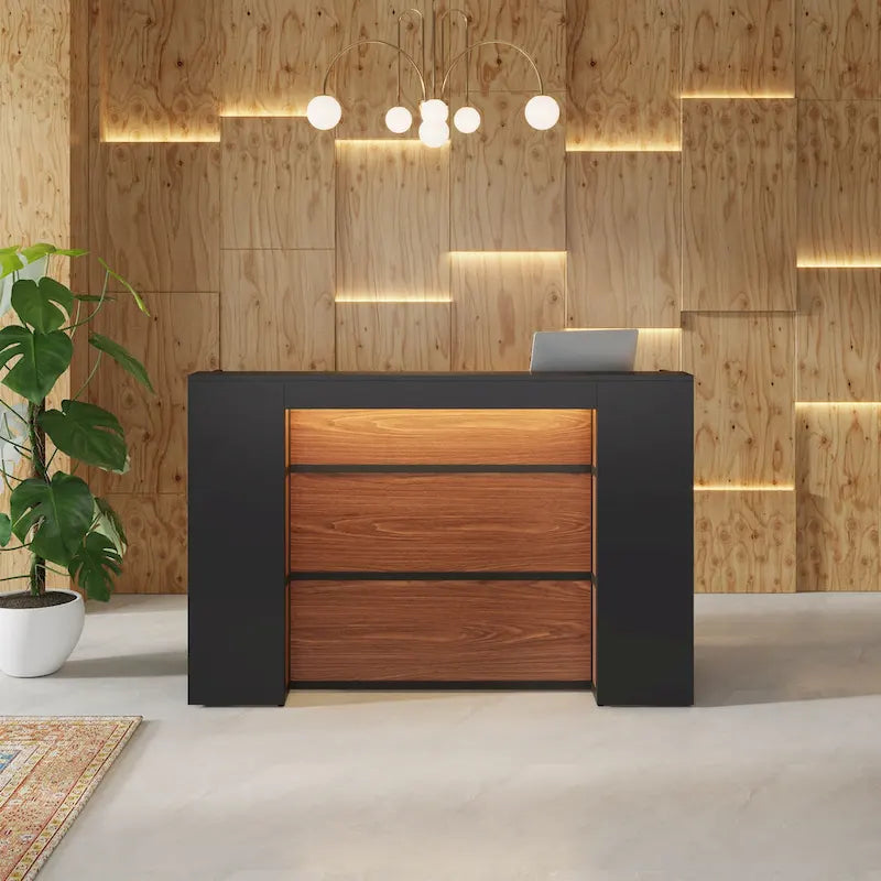 Large Reception Desk Front Desk with LED Lights for Salon Reception Room Store Office Lobby Retail Shop Clinic