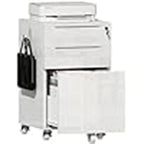 High Glossy File Cabinet - 17.72 D x 15.75 W x 25.59 H