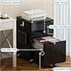 High Glossy File Cabinet - 17.72 D x 15.75 W x 25.59 H