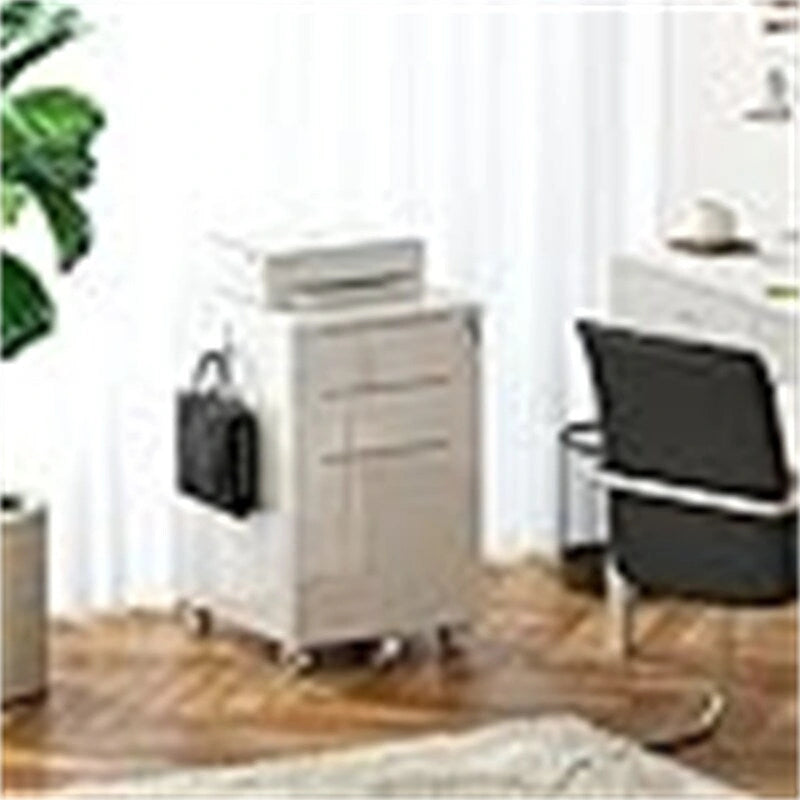 High Glossy File Cabinet - 17.72 D x 15.75 W x 25.59 H