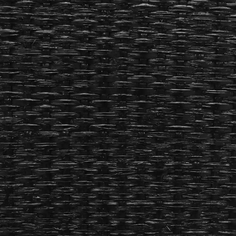 Hopper Studio Delancey Black 2-Door Cabinet