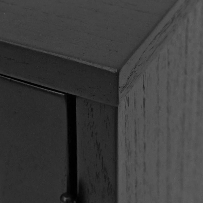 Hopper Studio Delancey Black 2-Door Cabinet