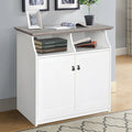 Saint Birch Finley White 2-Door Vertical Filing Cabinet with Hidden Storage